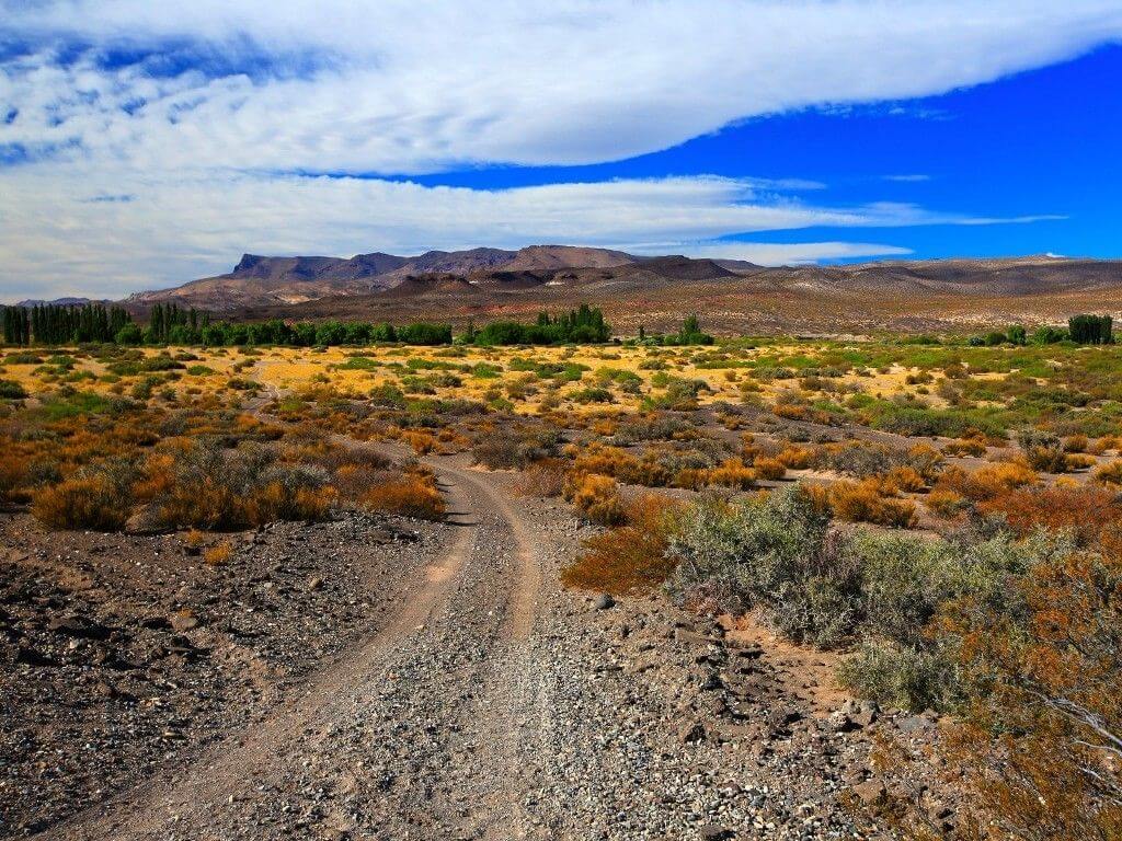 La Patagonie : Région spectaculaire d'Argentine et du Chili